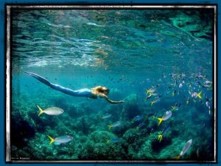 mermaid